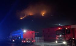 Aydın'da otluk alanda çıkan yangın kontrol altında