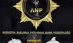 Aydın'da zehir ticaretini polis engelledi... 1 kilogram uyuşturucu yakalandı