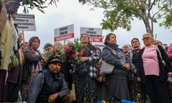 Akbelen'de acele kamulaştırma davası... Danıştay Savcısı ‘kamu yararı’ yönünde görüş verdi