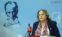 1 haftada en az 8 kadın öldürüldü: CHP Kadın Kolları Genel Başkanı Gülsever'den 'adalet' çıkışı