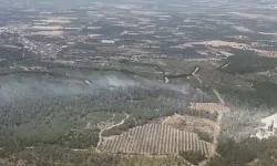 Manisa Valiliği’nden ilginç yangın paylaşımı… Herkese teşekkür, belediyeye yok