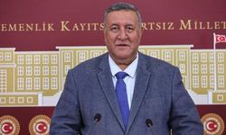 CHP'li Gürer ithalat rakamlarını açıkladı: 7 ayda 177 milyon dolar gitti