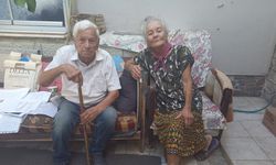 Kedileri için evlerini bırakmıyorlar: Bizi burada ölüme terk etmiş gibiler!