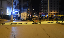 İstanbul'da boş arazide 2 ceset bulundu