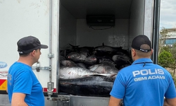 İzmir’de kaçak avlanan 3 ton orkinosa el konuldu
