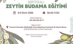 Buca’da üreticiye zeytin budama desteği