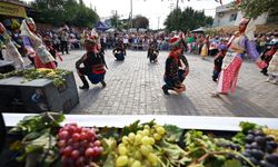 Seçuk'ta Osmancık üzümü coşkusu