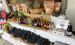 Kavacık Üzüm Festivali'ne kadın emeği ve yerel üretim damga vurdu