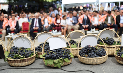 Kavacık Üzüm Festivali'nde üreticinin emeği vitrine çıktı