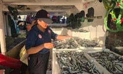 İzmir’de su ürünleri denetimleri 7 gün 24 saat sürüyor