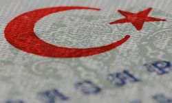 Usulsüz vatandaşlık soruşturmasında ikinci dalga: 72 kişi gözaltına alındı, 30 şirkete kayyum atandı