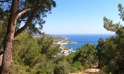 Karaburun’da parselasyon planına itiraz!