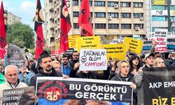 İzmir'de hayvan hakları savunucularından Ege Üniversitesi kampüsündeki köpeklerin toplatılmasına tepki