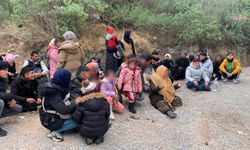 Seferihisar’da 37 kaçak göçmen yakalandı