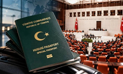 Doktor, eczacı, mühendis... Yeşil pasaportta 6 meslek grubu için teklif
