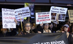 İzmir’de yaşam hakkı savunuculardan çağrı: Toplayan değil koruyan bir yasa istiyoruz
