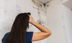 Kış gelmeden önlem alın... Evde rutubeti önlemenin 6 yolu