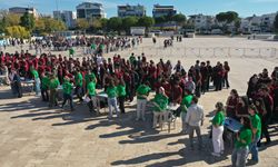 Didim'deki zeytinyağı tadım etkinliğinde Guinness rekoru