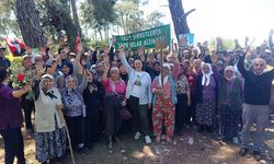 Kurtla yediler çobanla ağlıyorlar: Akbelen ve Marmaris’in failleri COP31’e destek veriyor!