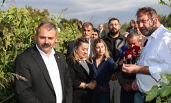 CHP’li Gümrükçü'den Menemen çıkarması: Tatlı üzümde acı fiyat olmaz