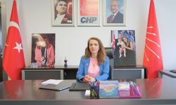 CHP’li İlgezdi ilaç krizine dikkat çekti: Sosyal medyada arıyorlar
