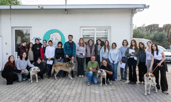Eşki duyurdu: Ege Üniversitesi’nden devralınan 83 köpek sahiplendirildi