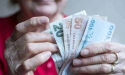 Kendi şirketinden sigortalı gösterilenlere Yargıtay’dan emsal karar