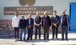 Seferihisar’da üreticiye destek: Sakız ağacı için ortak çalışma