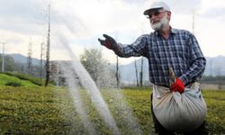 Listelere bir yenisi daha eklendi… İzmir’de 47 ton gübre icralık