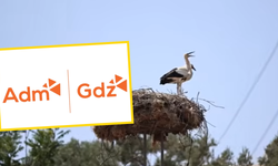 Adm ve Gdz Elektrik'ten ‘Göçmen Kuşlara Güvenli Gökyüzü’ projesi