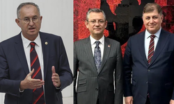 Sertel'den Özel'e 'Sütte leke' göndermesi: Arada olan süte oluyor