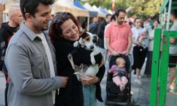 Konak’ta 7. Patilerin Festivali: Can dostlar yeni yuvalarını buldu!