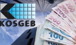 İş kuracaklara 2,5 milyon TL destek... Peki başvuru şartları neler?