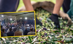 Manisalı zeytin üreticisinden taban fiyat protestosu: Elekler durduruldu