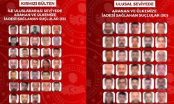 Bakan Çiftçi açıkladı:  Aranan 63 suçlu Türkiye'ye getirildi