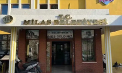 Milas’ta vekil seçimi 3 Kasım'da: 30 sandalyeli mecliste dengeler nasıl?