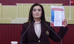 CHP’li Kılıç’tan Bakan Tekin’e anket tepkisi: Bir öğün yemek için ankete mi ihtiyaç var?