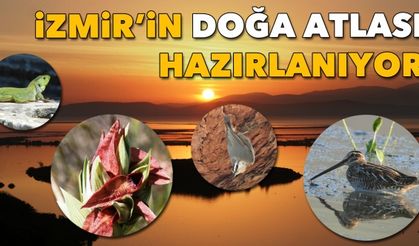 İzmir'in doğa atlası hazırlanıyor