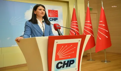 CHP'li Gökçe Gökçen'den sert çıkış: Demokrasi sınavından kaldılar