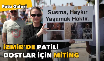 Binlerce kişi Gündoğdu Meydanı’nda: İzmir'de patili dostlar için miting