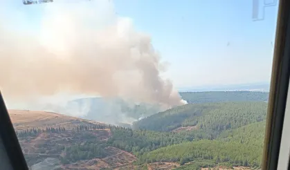 İzmir'in bir ilçesinde daha yangın çıktı: Müdahale sürüyor