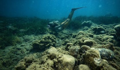 İzmir'in deniz kızları: Su altındaki güzellikleri keşfediyorlar