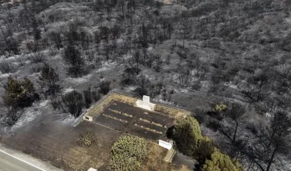 Ormandan çıkarıldı, yandı, yapılaşmaya açıldı: Yamanlar Ormanı'nın kronolojisi nasıldı?