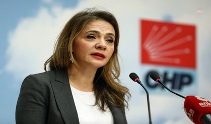 CHP'li İlgezdi’den yapay zeka uyarısı: Toplumsal güvenlik tehdit altında