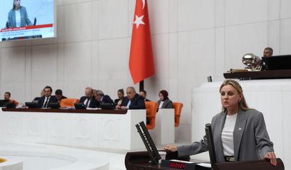 CHP'li Ösen'den 'zeytinlik' tepkisi: Çıkarılan kömürün mü yoksa milletin mi vekili olacaksınız?