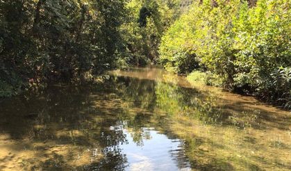 İzmir’e sadece 40 dakika uzaklıkta, kahvaltısıyla meşhur: Bu köyde karnınızı doyururken ruhunuzu da dinlendireceksiniz