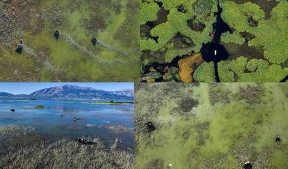 İzmir'e 2,5 saat mesafede doğa harikası: 2025 Çivril Işıklı Gölü