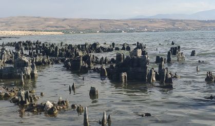 Van Gölü alarm veriyor: Su çekilmeye başladı!