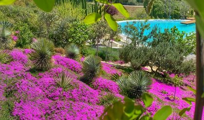 Urla Arboretum nerede? Urla Arboretum giriş ücreti ne kadar 2025?