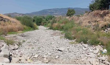 Bergama'da çiftçi isyanda: Bakırçay'la birlikte ürünler de kurudu